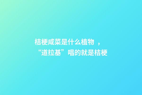 桔梗咸菜是什么植物，“道拉基”唱的就是桔梗